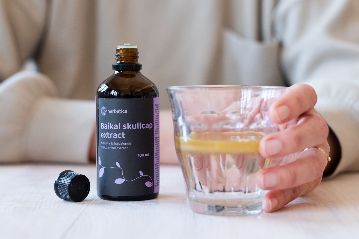 Bajkáli csucsóka tinktúra - 100ml - Herbatica